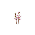 Bricks Botanicals 40725 Cherry Blossoms