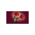 Bricks Botanicals 40460 Roses