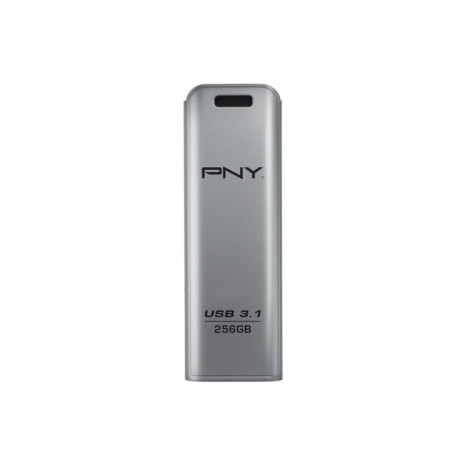 mälupulk 256GB USB3.1 ELITE STEEL FD256ESTEEL31G-EF