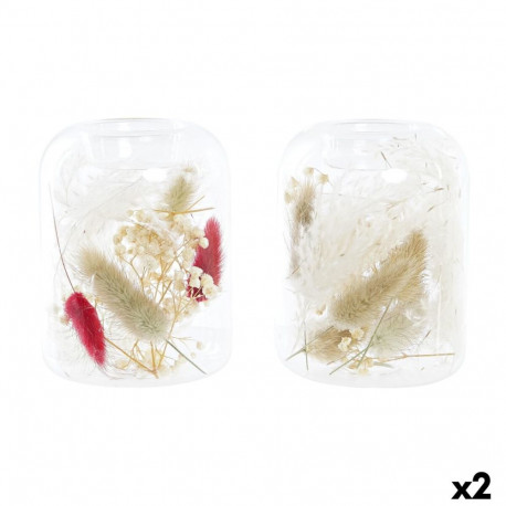 Svijećnjak DKD Home Decor Kuivatatud lill 8 x 8 x 11 cm Kristall Beež Kastanpruun (2 Ühikut)