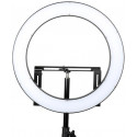 Falcon Eyes ring light Bi-Color DVR-512DVC