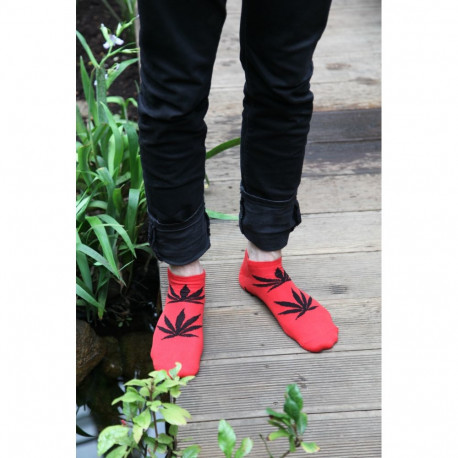 SOKISAHTEL KANEP madalad punased puuvillased sokid meestele 444