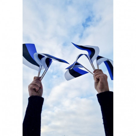 SOKISAHTEL EESTI käsilippude komplekt 10 lipuga 425