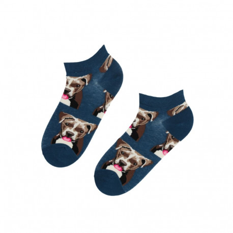 SOKISAHTEL PITBULL koertega puuvillased madalad sokid 444