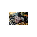 Select 4LX Plus grill -