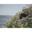 Olympus  8x42 EXPS I