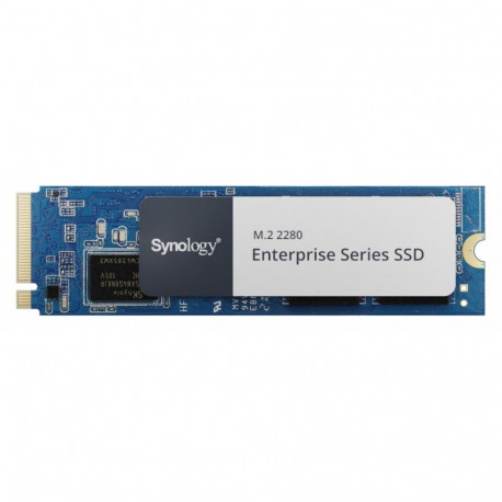 ssd M2 NVMe PCIe 3.0 x4 1600GB SNV5420-1600G