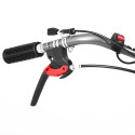 MULLAFREES HECHT 7970