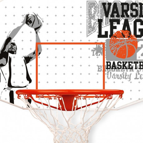 Korvpallilaud + rõngas võrguga 16NY