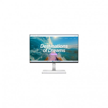 Lenovo L24D-4C computer monitor 60.5 cm (23.8") 1920 x 1080 pixels Full HD LCD Grey