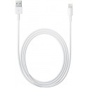 Apple Lightning to USB Cable MD818ZM/A