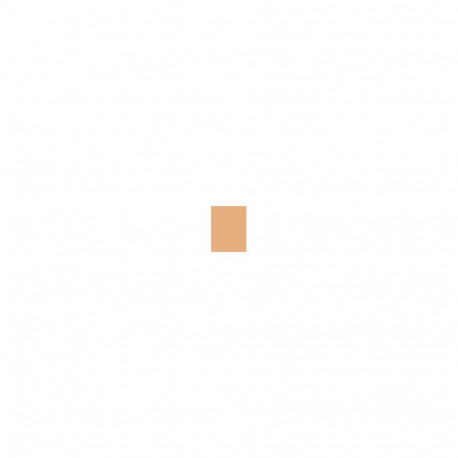 Shiseido UV Protective Compact Foundation (12ml) (Medium Ochre)