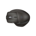 HP Ultra-Fast Scroll Wireless Mouse 785M