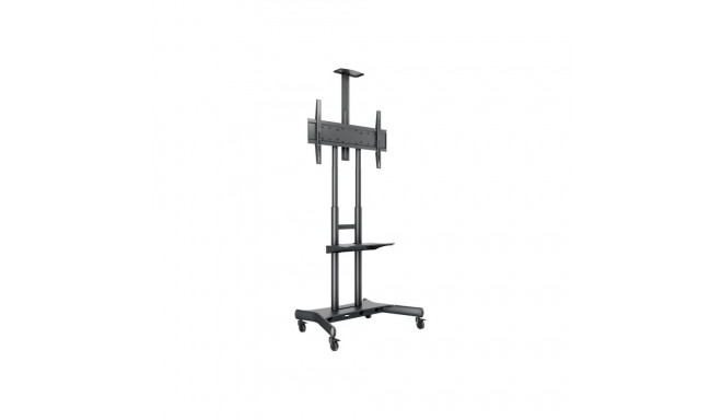 MULTIBRACKETS Public Floorstand Basic 180 riiuliga ja kaamerahoidjaga
