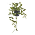 Kunsttaim HOYA 33cm, roheline