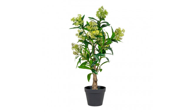 Kunsttaim SKIMMIA H75 cm, roheline