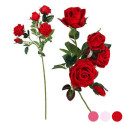 5 Roosi Vars