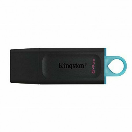 USB-pulk Kingston DTX/64GB Must 64 GB