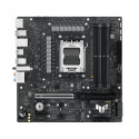 Motherboard Asus AMD AM5 AMD