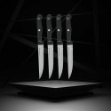 Knife Set Nirosta