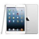Apple iPad mini 16GB WiFi A1432, valge/hõbe
