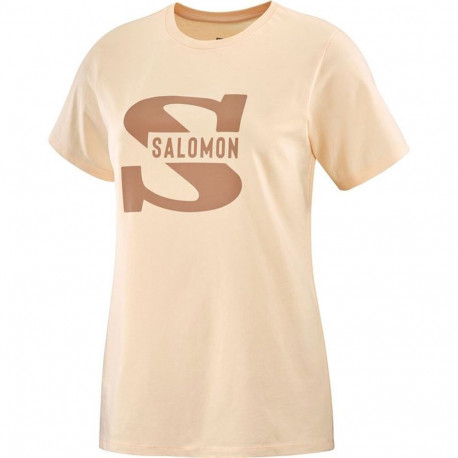 Lühikeste varrukatega T-särk, meeste Salomon Beež