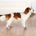 Socks Trixie Grey L/XL Dog