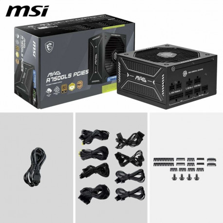 Toiteplokk MSI 306-7ZP1B11-CE0 750 W 80 Plus Gold ATX