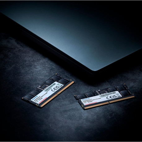 RAM-mälu Adata AD5S560016G-S 16 GB DDR5 5600 MHz CL46