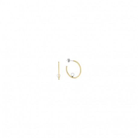 Ladies' Earrings Tommy Hilfiger 2780964 3 cm