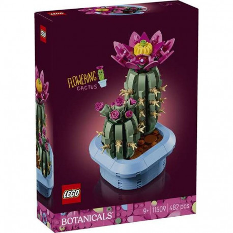 Konstruktsioon komplekt Lego Botanicals 11509