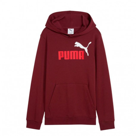 Tüdrukute kapuutsiga dressipluus Puma Essentials 2 Color No.1 Log Kastanpruun Tumepunane - 11-12 aas