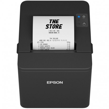 Ticket Printer Epson TM-T20IV (101)