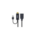 Akasa HDMI to DisplayPort Adapter cable