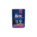 BRIT PREMIUM SALMON&TROUT 100G