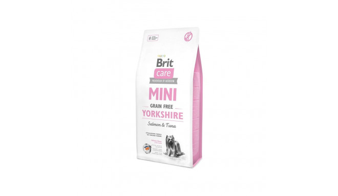 Brit Care mini Yorkshire
