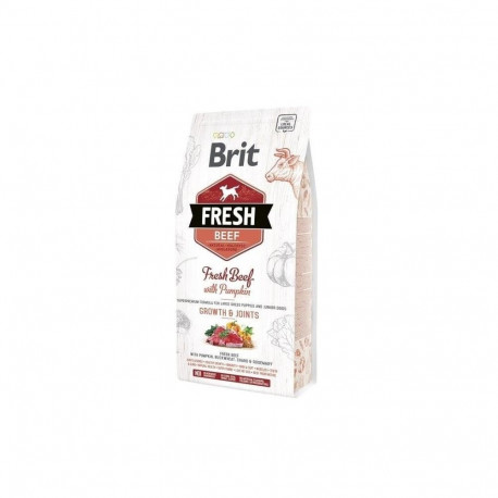 BRIT FRESH veiseliha kõrvitsaga kutsikas suur