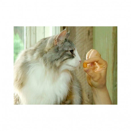CHURU CAT BITES CHICKEN TUNA 30G
