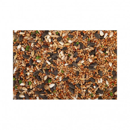 Keskmise suurusega papagoitoit 1L/650G