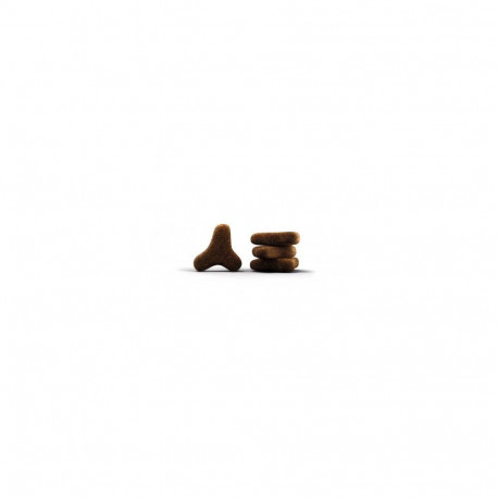 FEED FOR ADULT CATS SENSICAT 2 KG