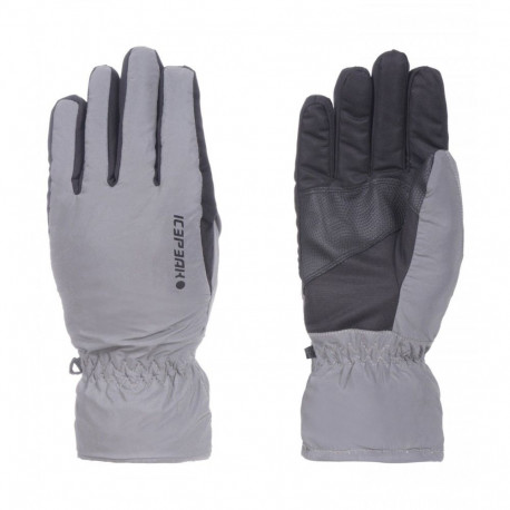 Talvekindad Icepeak Hubbell JR hõbedane - M