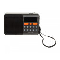 Portable analog AM/FM Bluetooth RA18
