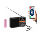 Portable analog AM/FM Bluetooth RA18