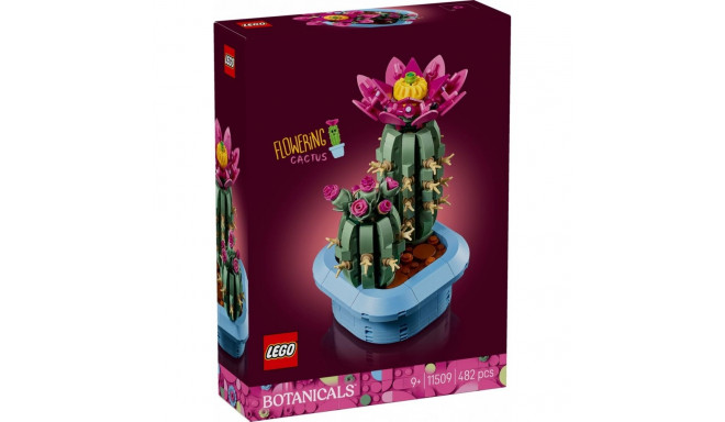 Brand: Blocks Botanicals
Set Number: 11509
Product Name: