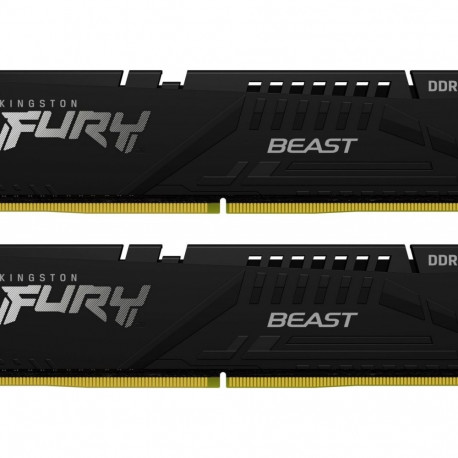 DDR5 Fury Beast Black 64GB(232GB)/5600 CL36