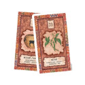US Games Systems Shaman Wisdom Cards