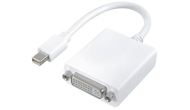 Vivanco adapter Mini DisplayPort - DVI 0.1m (45497)