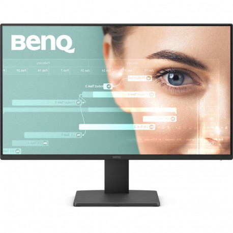 "BenQ GW2491"