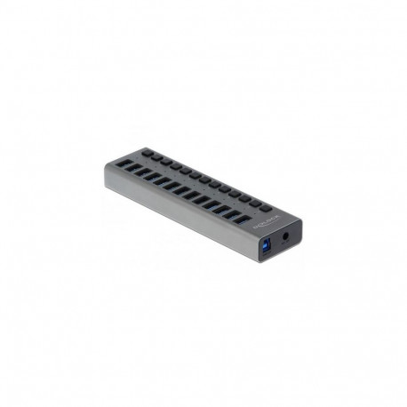 DeLOCK External USB 5 Gbps Hub with 13 Ports + Switch