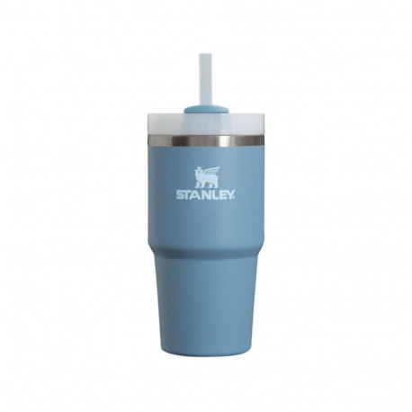 Stanley kõrrega termoskruus The Quencher H2.O FlowState Tumbler 0.6L 1200185003844, lilla